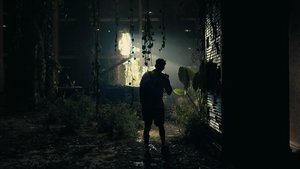 undefined Images